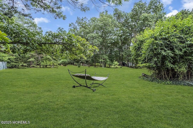 185 Sams Rd, Jackson, NJ 08527 - photo 7