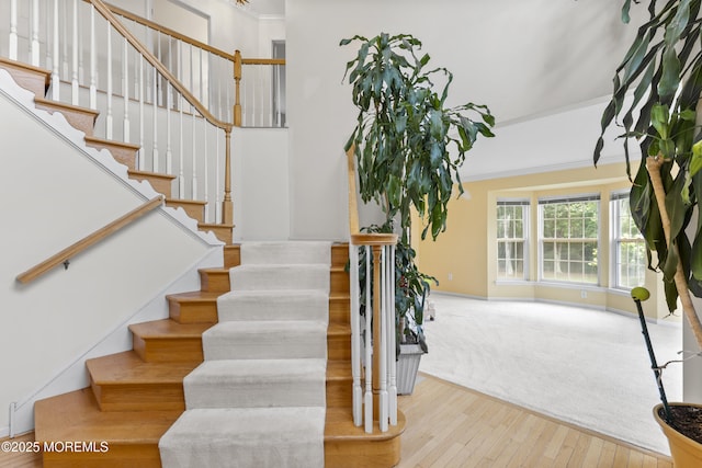 10 Cleveland Ct, Jackson, NJ 08527 - photo 8