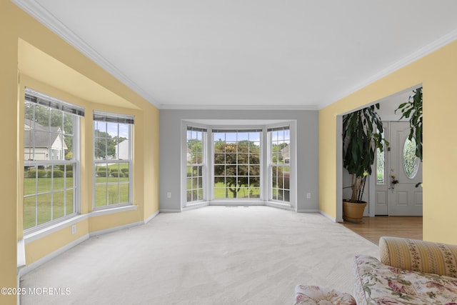 10 Cleveland Ct, Jackson, NJ 08527 - photo 10