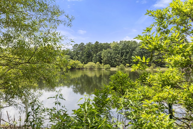 10 Cleveland Ct, Jackson, NJ 08527 - photo 37