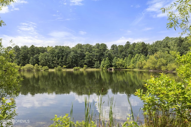 10 Cleveland Ct, Jackson, NJ 08527 - photo 36