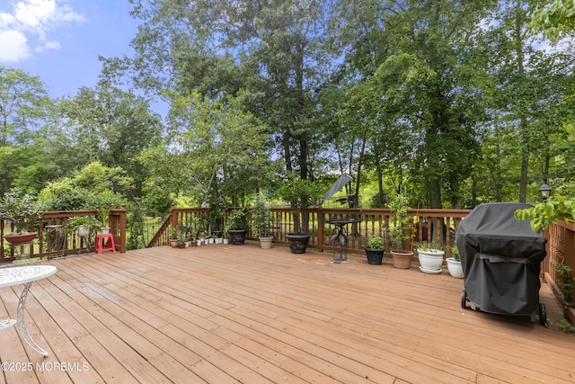 10 Cleveland Ct, Jackson, NJ 08527 - photo 38