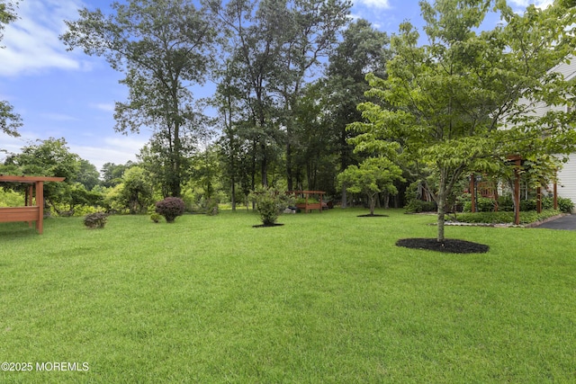 10 Cleveland Ct, Jackson, NJ 08527 - photo 45
