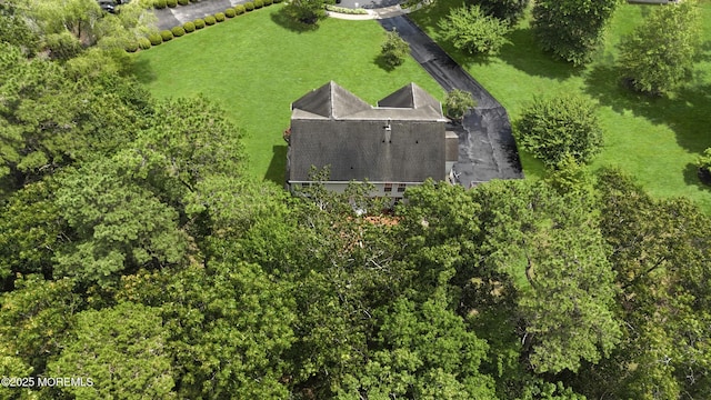 10 Cleveland Ct, Jackson, NJ 08527 - photo 49