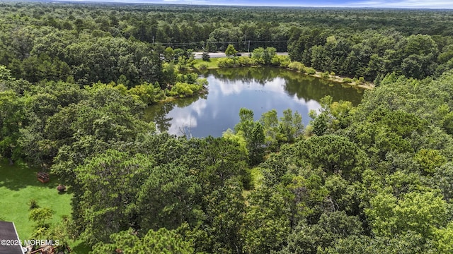 10 Cleveland Ct, Jackson, NJ 08527 - photo 42