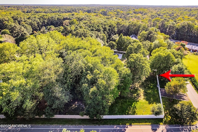 657 Rodrigues Ln, Jackson, NJ 08527 - photo 5