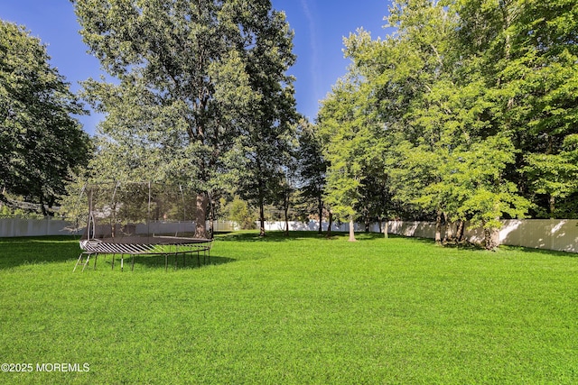 657 Rodrigues Ln, Jackson, NJ 08527 - photo 33