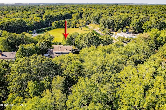 657 Rodrigues Ln, Jackson, NJ 08527 - photo 41