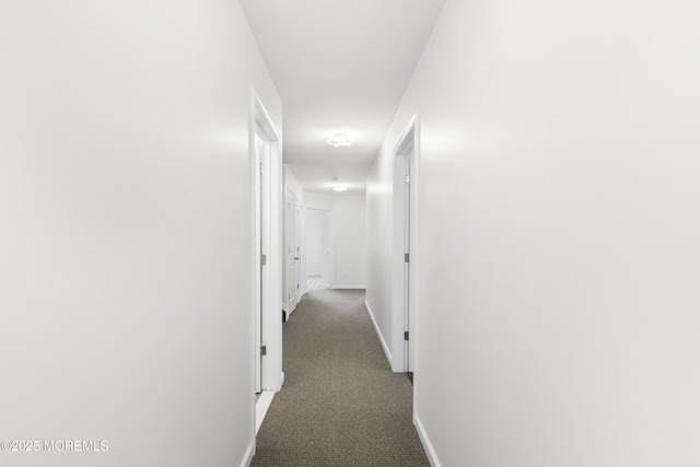 4 Bourbon Ct, Lakewood, NJ 08701 - photo 40