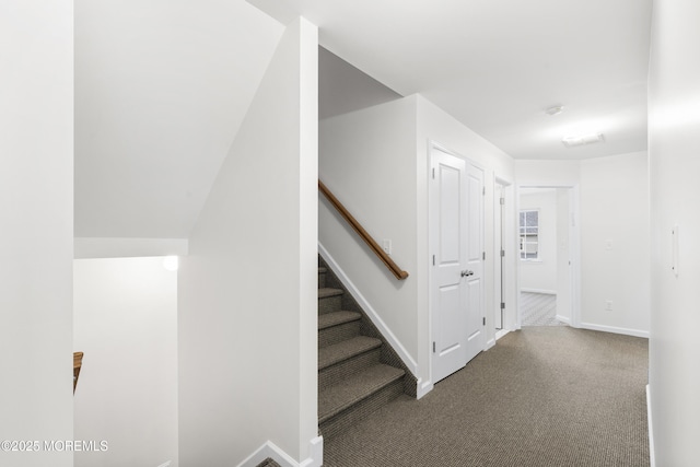 4 Bourbon Ct, Lakewood, NJ 08701 - photo 41