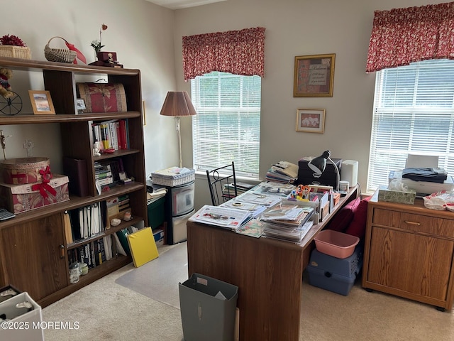 15 Saddle Ct, Tinton Falls, NJ 07753 - photo 15