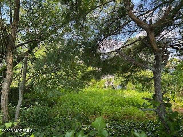 725 17th Ave, Belmar, NJ 07719 - photo 4