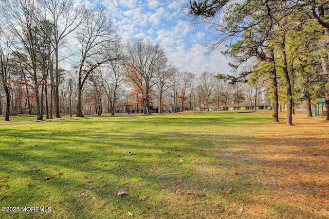 82 Amberly Dr Unit D, Manalapan, NJ 07726 - photo 25