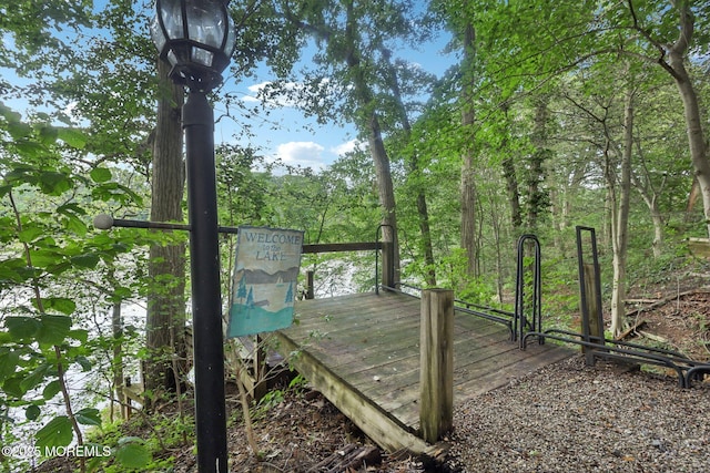 29 Miriam Dr, Matawan, NJ 07747 - photo 44