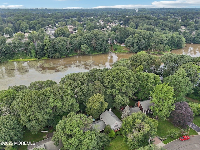 29 Miriam Dr, Matawan, NJ 07747 - photo 50
