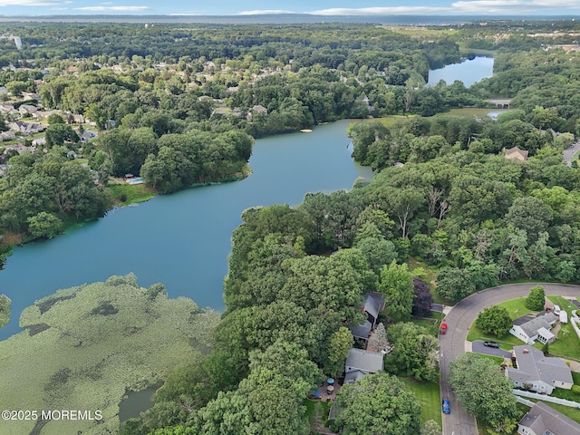 29 Miriam Dr, Matawan, NJ 07747 - photo 53