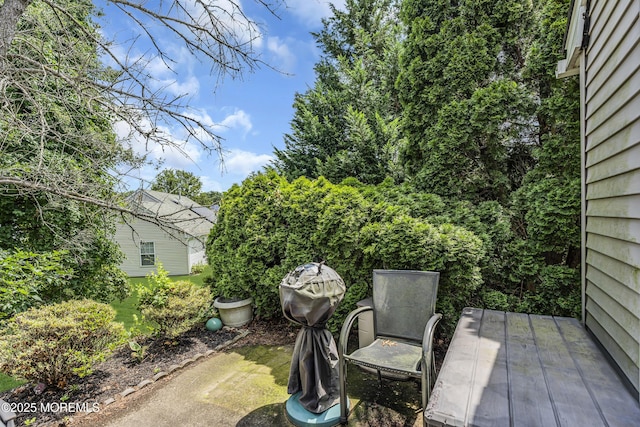 33 Strawberry Ln, Lakewood, NJ 08701 - photo 29