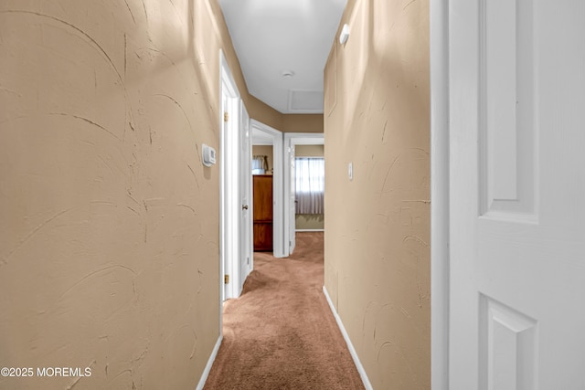 545 Duchess Ct, Toms River, NJ 08753 - photo 10