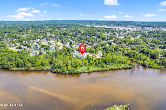 205 Marlin Ct, Brick, NJ 08724 - photo 40