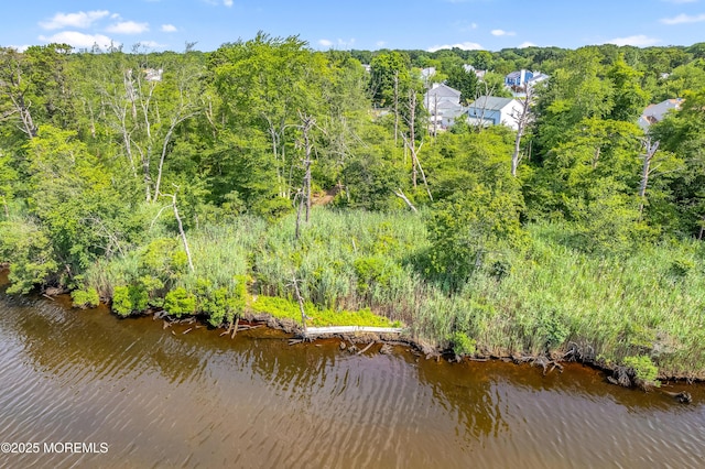 205 Marlin Ct, Brick, NJ 08724 - photo 42
