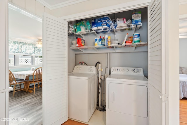 54 Buckingham Rd, Brick, NJ 08723 - photo 14