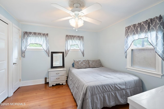 54 Buckingham Rd, Brick, NJ 08723 - photo 7