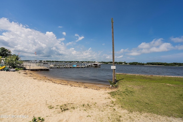 54 Buckingham Rd, Brick, NJ 08723 - photo 35