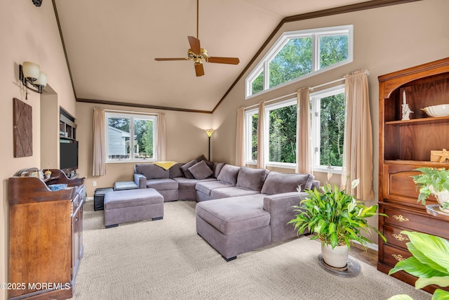 44 Williamsburg Dr, Toms River, NJ 08755 - photo 12
