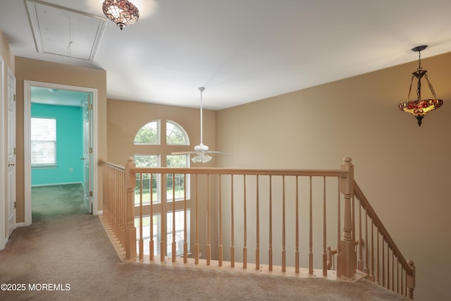 52 Picket Pl Unit 1000, Freehold, NJ 07728 - photo 22