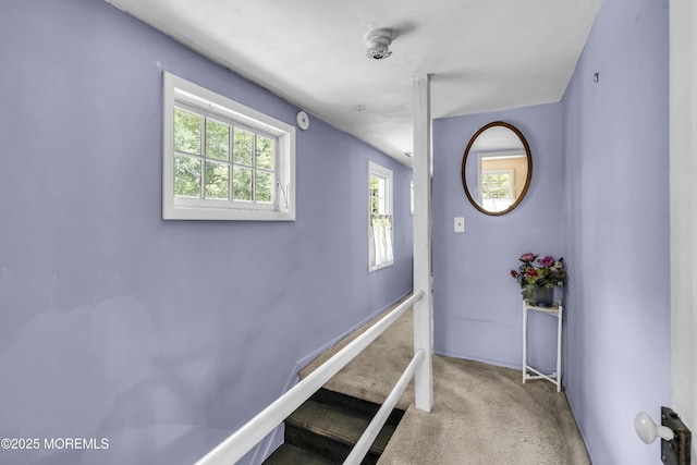 200 Cranberry Rd, Farmingdale, NJ 07727 - photo 30