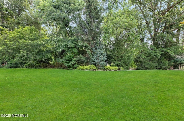 1801 Wagon Wheel Ct, Freehold, NJ 07728 - photo 33