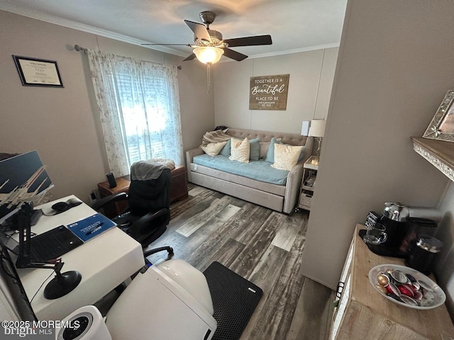 814 N St, Jackson, NJ 08527 - photo 12