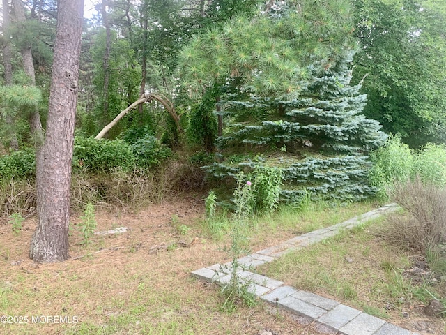 61 Oakfield Rd, Toms River, NJ 08757 - photo 29