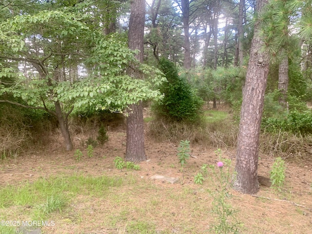 61 Oakfield Rd, Toms River, NJ 08757 - photo 30