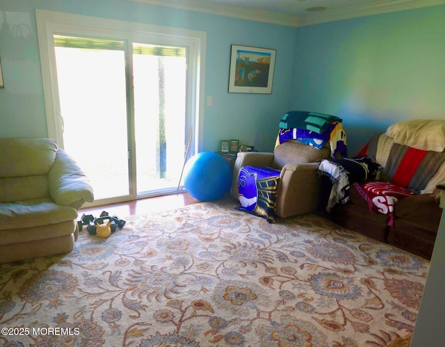 214 Sawmill Rd Unit 452, Brick, NJ 08724 - photo 6