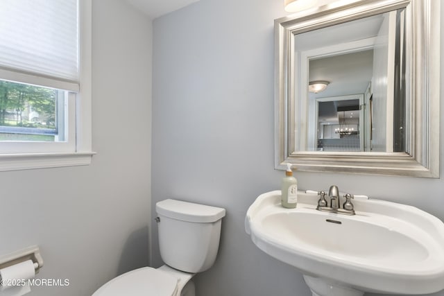 25 Constitution Ct, Manalapan, NJ 07726 - photo 19