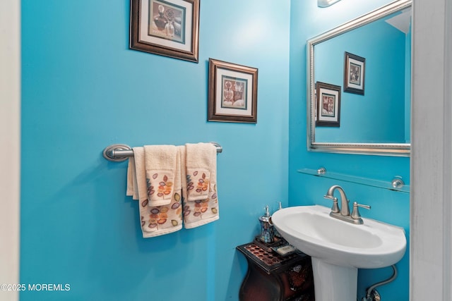 33 Willow Brook Rd, Freehold, NJ 07728 - photo 16