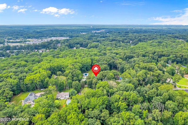 7 Syngle Way, Morganville, NJ 07751 - photo 40