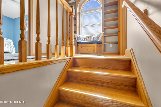 3 Woodhaven Rd, Toms River, NJ 08753 - photo 30