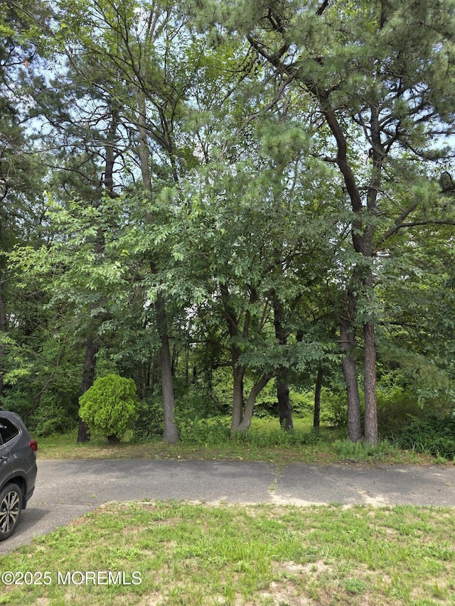 1 Flamingo Ter Unit A, Manchester, NJ 08759 - photo 12