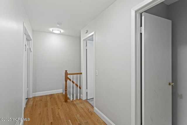 431 Rose Ct, Lakewood, NJ 08701 - photo 30