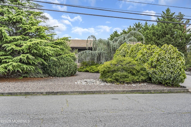 62 Sunrise Blvd, Toms River, NJ 08753 - photo 96