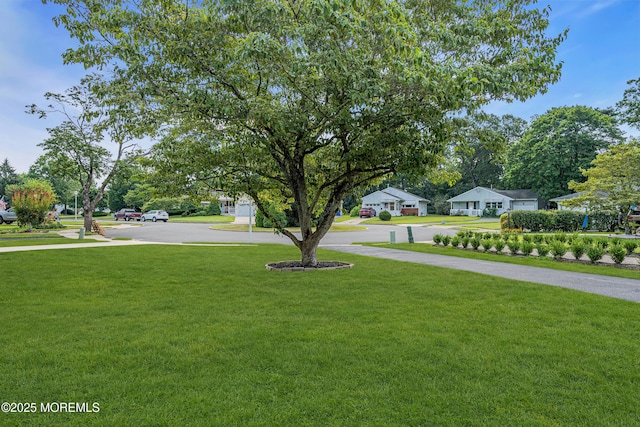 21 Sweet Williams Ct, Toms River, NJ 08755 - photo 32