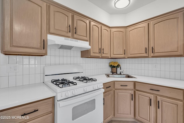 21 Sweet Williams Ct, Toms River, NJ 08755 - photo 38