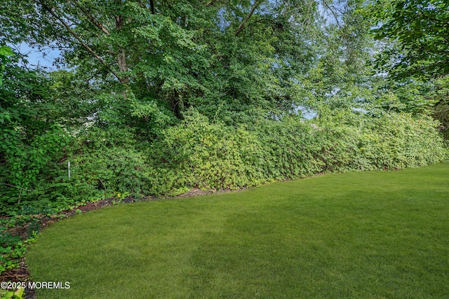21 Sweet Williams Ct, Toms River, NJ 08755 - photo 57
