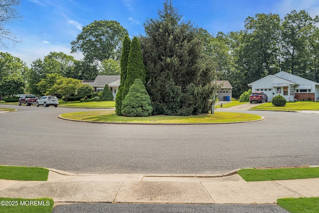 21 Sweet Williams Ct, Toms River, NJ 08755 - photo 21