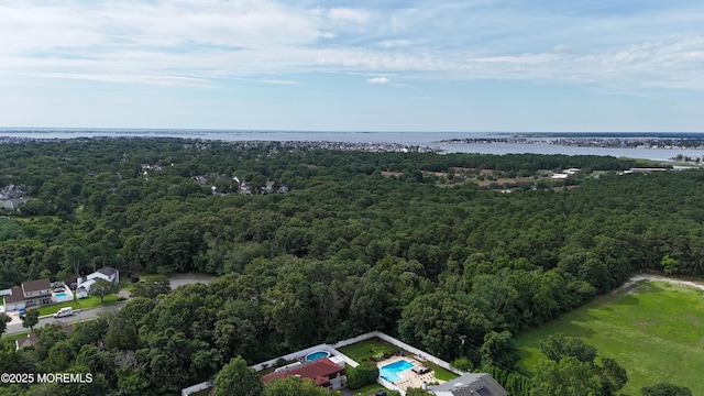 26 Poppy Ct, Brick, NJ 08723 - photo 49