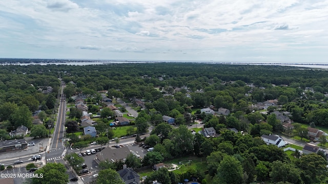 26 Poppy Ct, Brick, NJ 08723 - photo 51