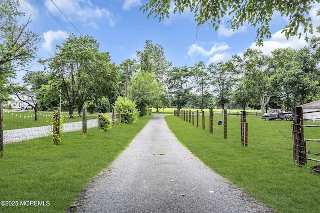 311 County House Rd, Washington, NJ 08080 - photo 5