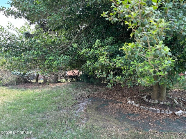 10 Lafayette Dr Unit B, Whiting, NJ 08759 - photo 5